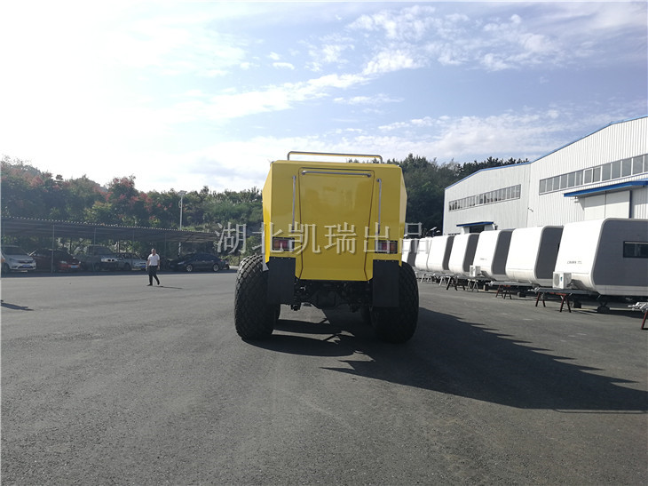 沙漠冲浪车尾部爬梯